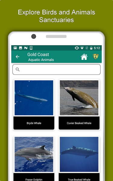 Gold Coast Travel & Explore, O - عکس برنامه موبایلی اندروید