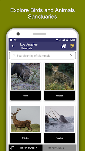 Los Angeles Travel & Explore, - Image screenshot of android app