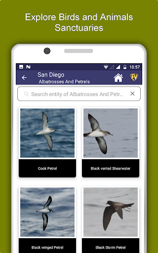 San Diego Travel & Explore, Of - عکس برنامه موبایلی اندروید