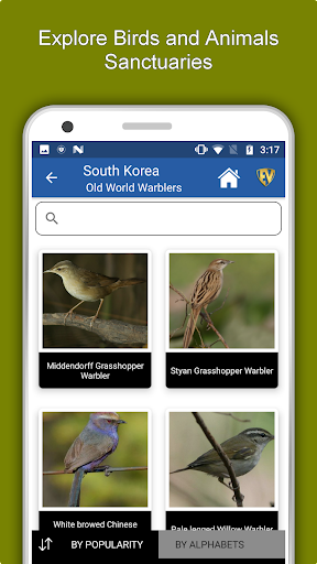 South Korea Travel & Explore O - Image screenshot of android app