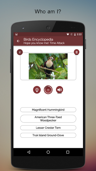 Birds Encyclopedia Offline App - Image screenshot of android app