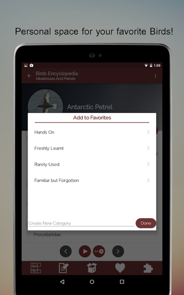 Birds Encyclopedia Offline App - Image screenshot of android app