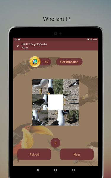 Birds Encyclopedia Offline App - Image screenshot of android app