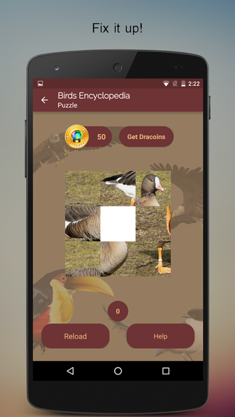 Birds Encyclopedia Offline App - Image screenshot of android app