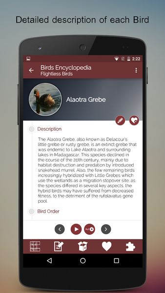 Birds Encyclopedia Offline App - Image screenshot of android app