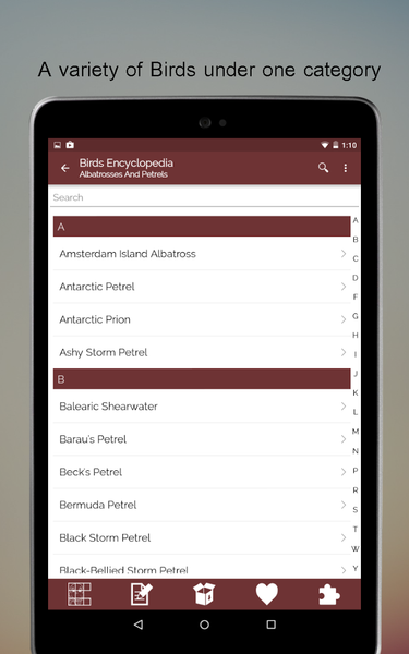 Birds Encyclopedia Offline App - Image screenshot of android app