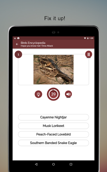 Birds Encyclopedia Offline App - Image screenshot of android app
