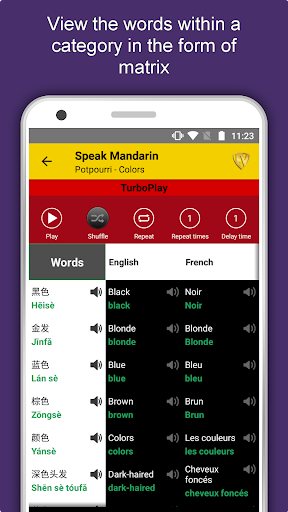Learn Mandarin Language App - Image screenshot of android app