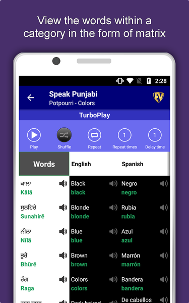 Learn Punjabi Language Offline - عکس برنامه موبایلی اندروید