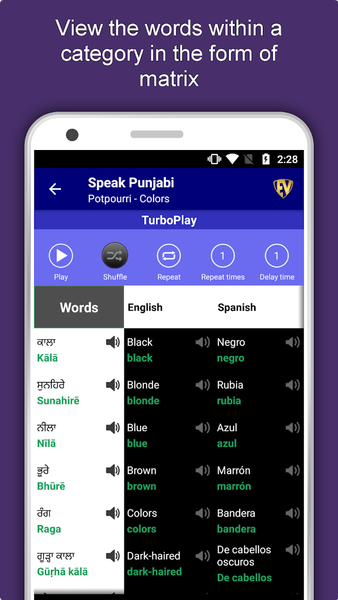 Learn Punjabi Language Offline - عکس برنامه موبایلی اندروید