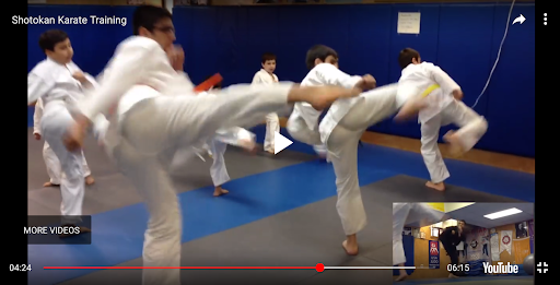 Karate Training - Image screenshot of android app