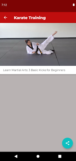 Karate Training - Image screenshot of android app