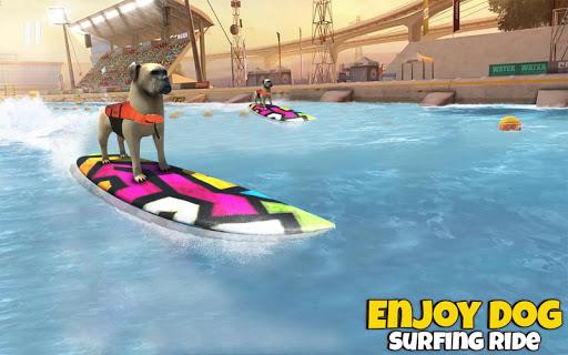 Dog Surfing Championship California 2019 - Gameplay image of android game