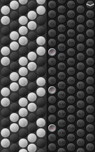 Button Accordion - Image screenshot of android app