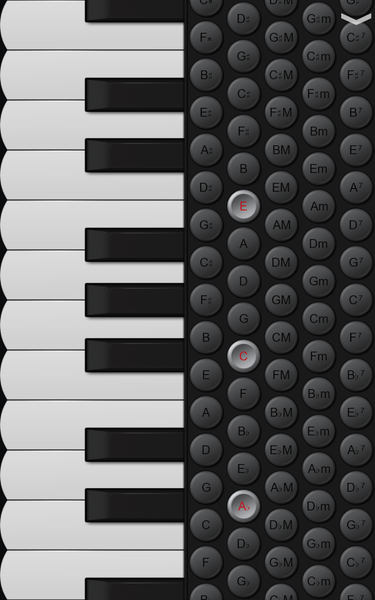 Piano Accordion - عکس برنامه موبایلی اندروید