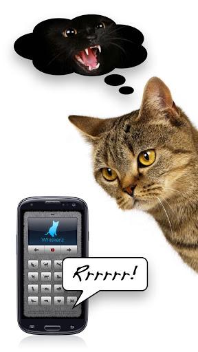 Human-to-Cat - Play with your cat! - Image screenshot of android app