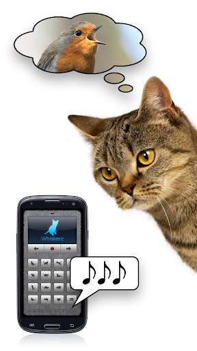 Human-to-Cat - Play with your cat! - Image screenshot of android app