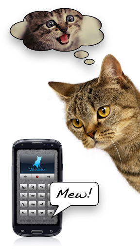 Human-to-Cat - Play with your cat! - Image screenshot of android app