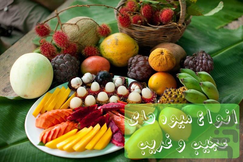 میوه های عجیب و غریب - Image screenshot of android app