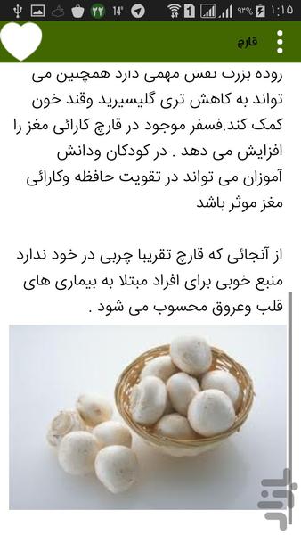 Herbal therapy - Image screenshot of android app