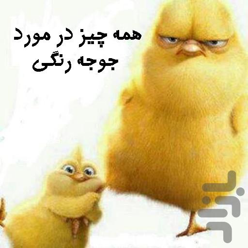 Chickens machine - Image screenshot of android app