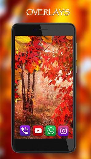 Autumn Rain live wallpaper - Image screenshot of android app