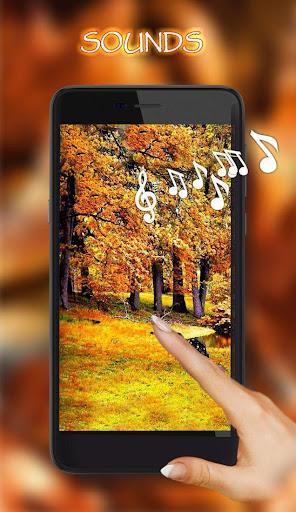 Autumn Rain live wallpaper - Image screenshot of android app