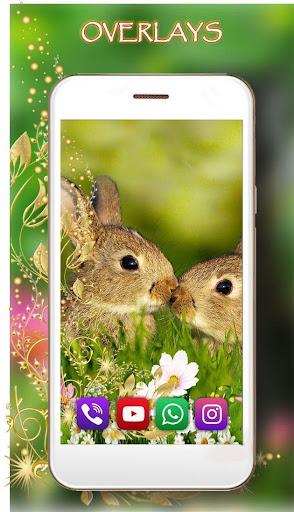 Bunnies Live Wallpaper - Image screenshot of android app