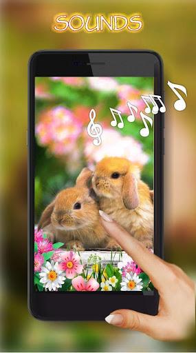 Bunnies Live Wallpaper - Image screenshot of android app