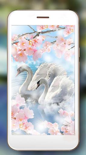 Swans Live Wallpaper - Image screenshot of android app