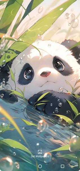 Cute Sweet Panda Wallpaper - عکس برنامه موبایلی اندروید