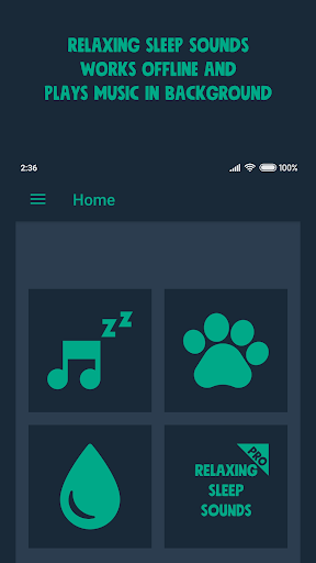 Relaxing Sleep Sounds - Image screenshot of android app