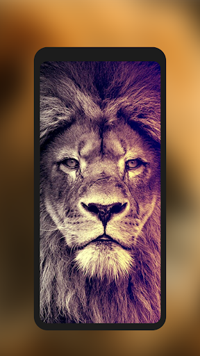 Lion Wallpaper Black - Image screenshot of android app