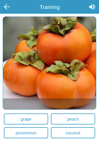 Learn English Vocabulary Words - Image screenshot of android app