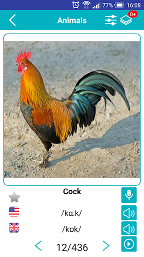 English Animals Vocabulary - Image screenshot of android app