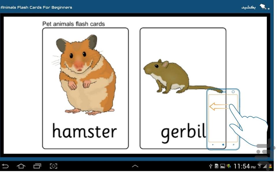 آموزش زبان برای کودکان - Image screenshot of android app