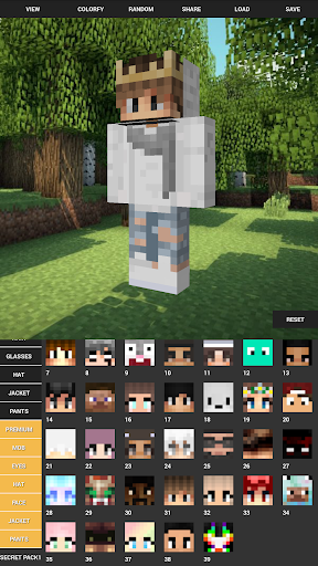 برنامه Custom Skin Creator Minecraft - دانلود