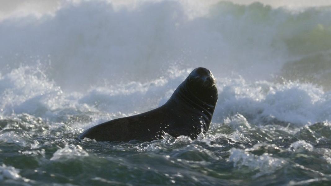 America the Beautiful - Image screenshot of android app