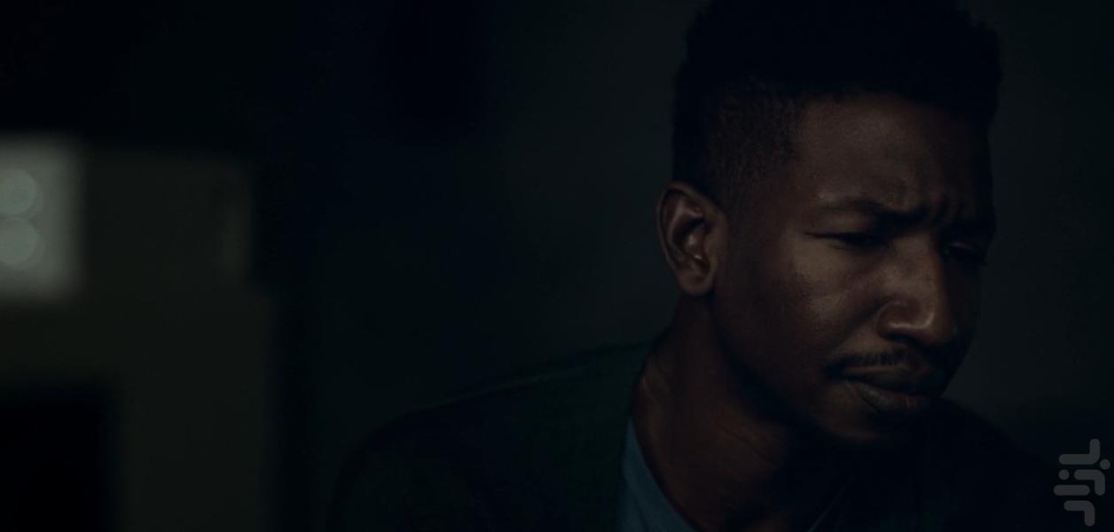 Archive 81 - Image screenshot of android app