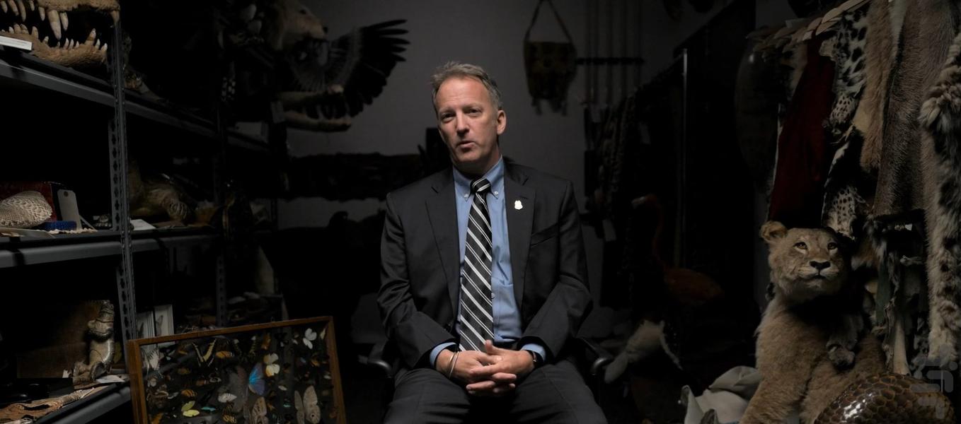 Bug Out - Image screenshot of android app