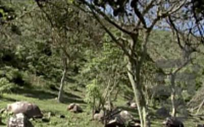 گالاپاگوس - Image screenshot of android app