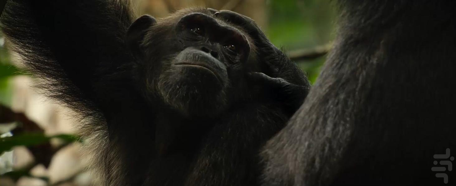 جهان ما - Image screenshot of android app