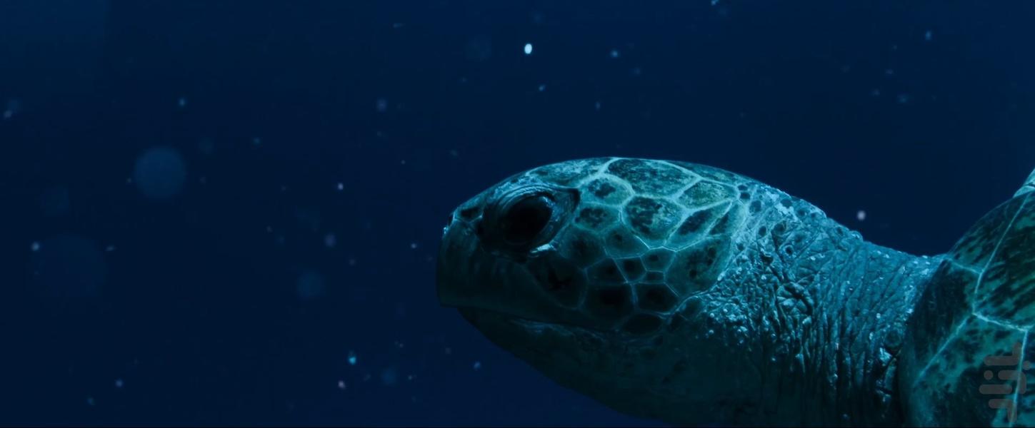 جهان ما - Image screenshot of android app