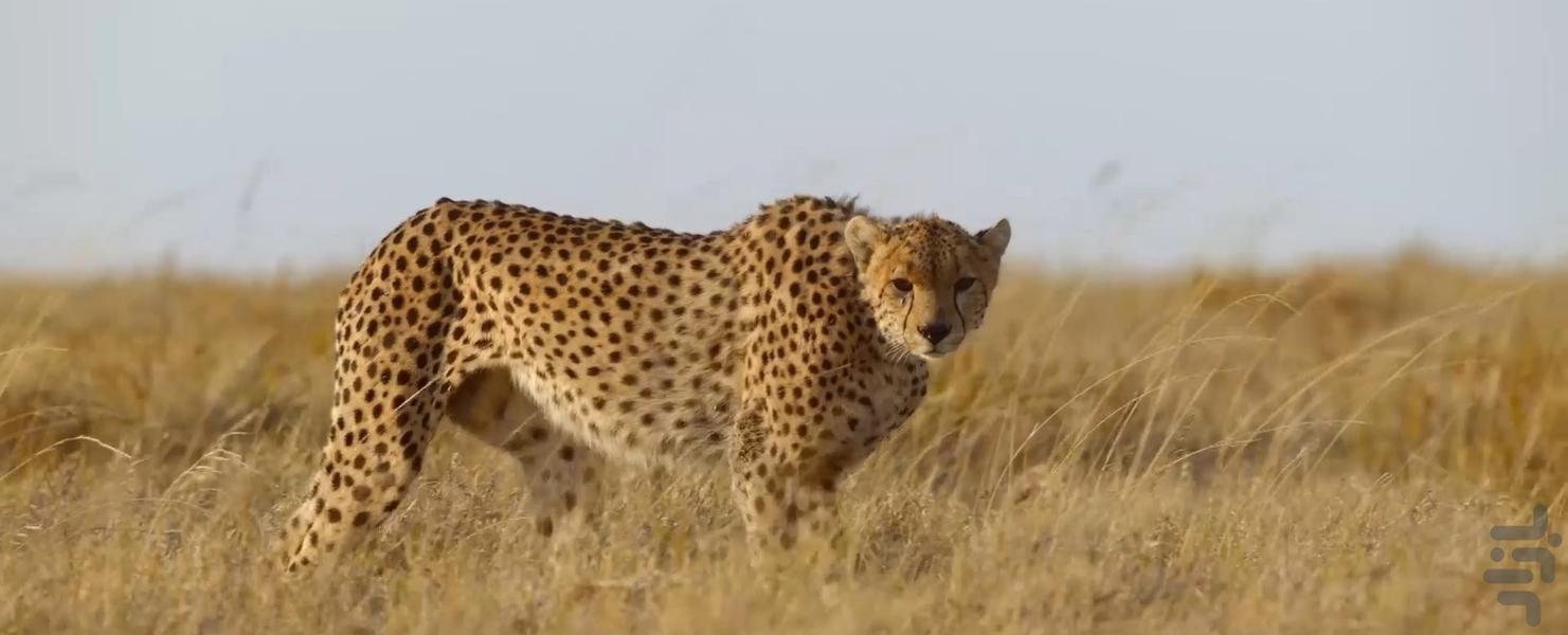 جهان ما - Image screenshot of android app