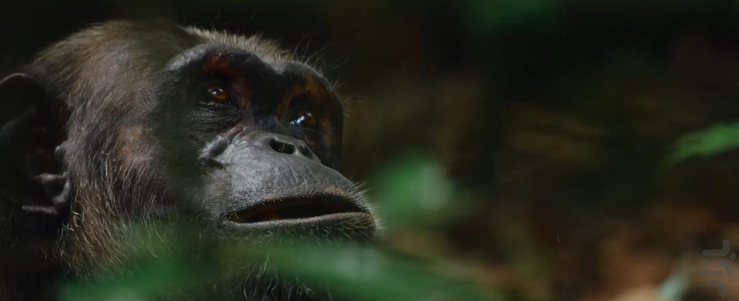 جهان ما - Image screenshot of android app