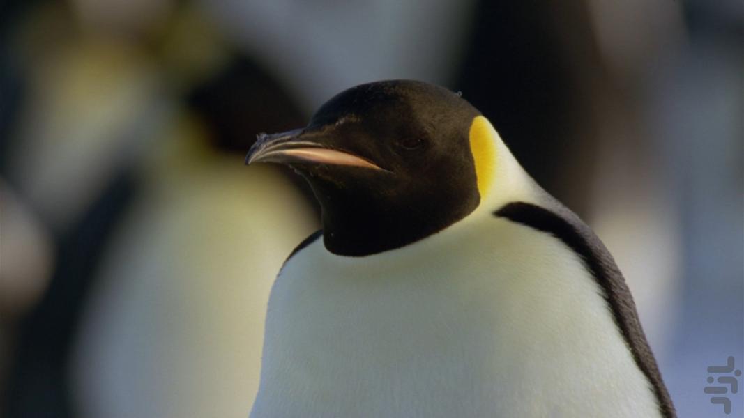 Planet Earth - Image screenshot of android app