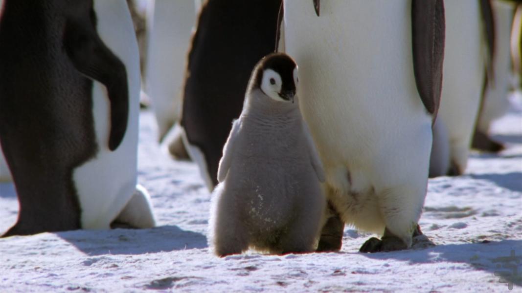 Planet Earth - Image screenshot of android app