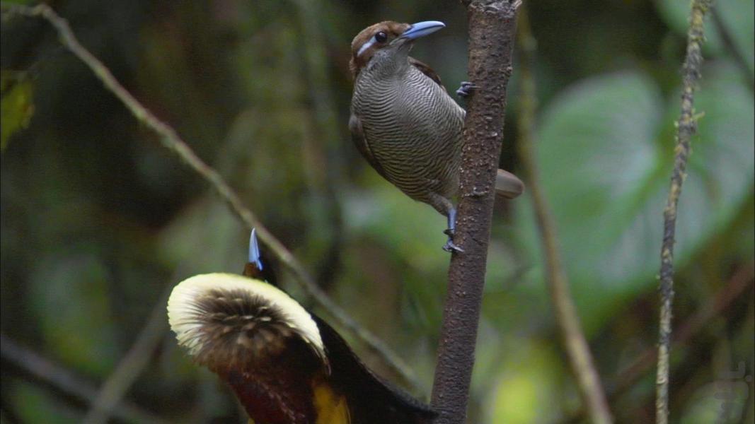 Planet Earth - Image screenshot of android app