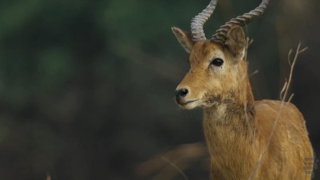 سیاره زمین ۳ - عکس برنامه موبایلی اندروید