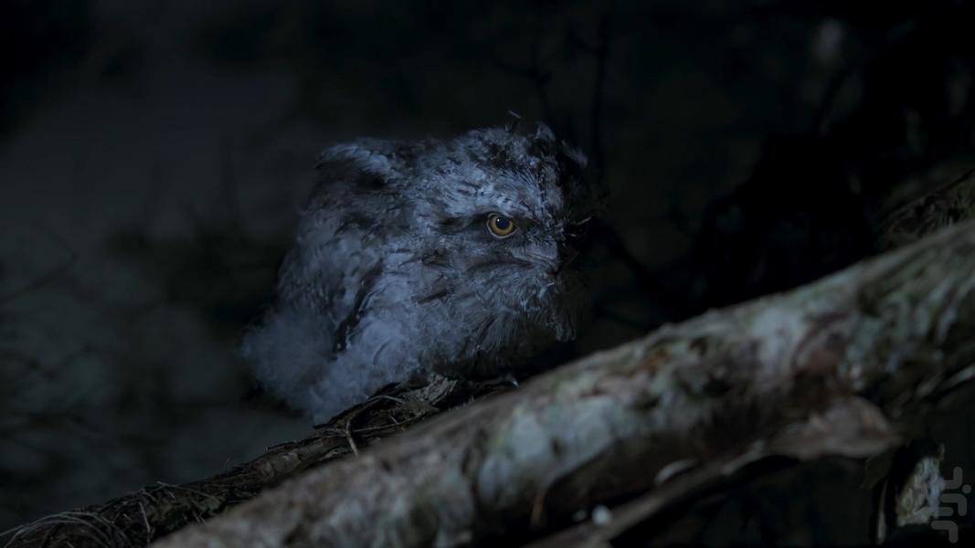 سیاره زمین ۳ - عکس برنامه موبایلی اندروید